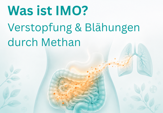 Was ist IMO? Verstopfung & Blähungen durch Methan