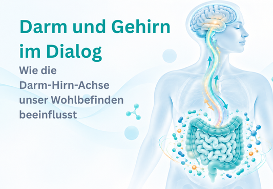 Darm und Gehirn im Dialog Darm-Hirn-Achse