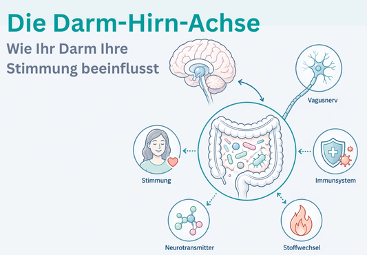 Darm-Hirn-Achse Wie Ihr Darm Ihre Stimmung beeinflusst