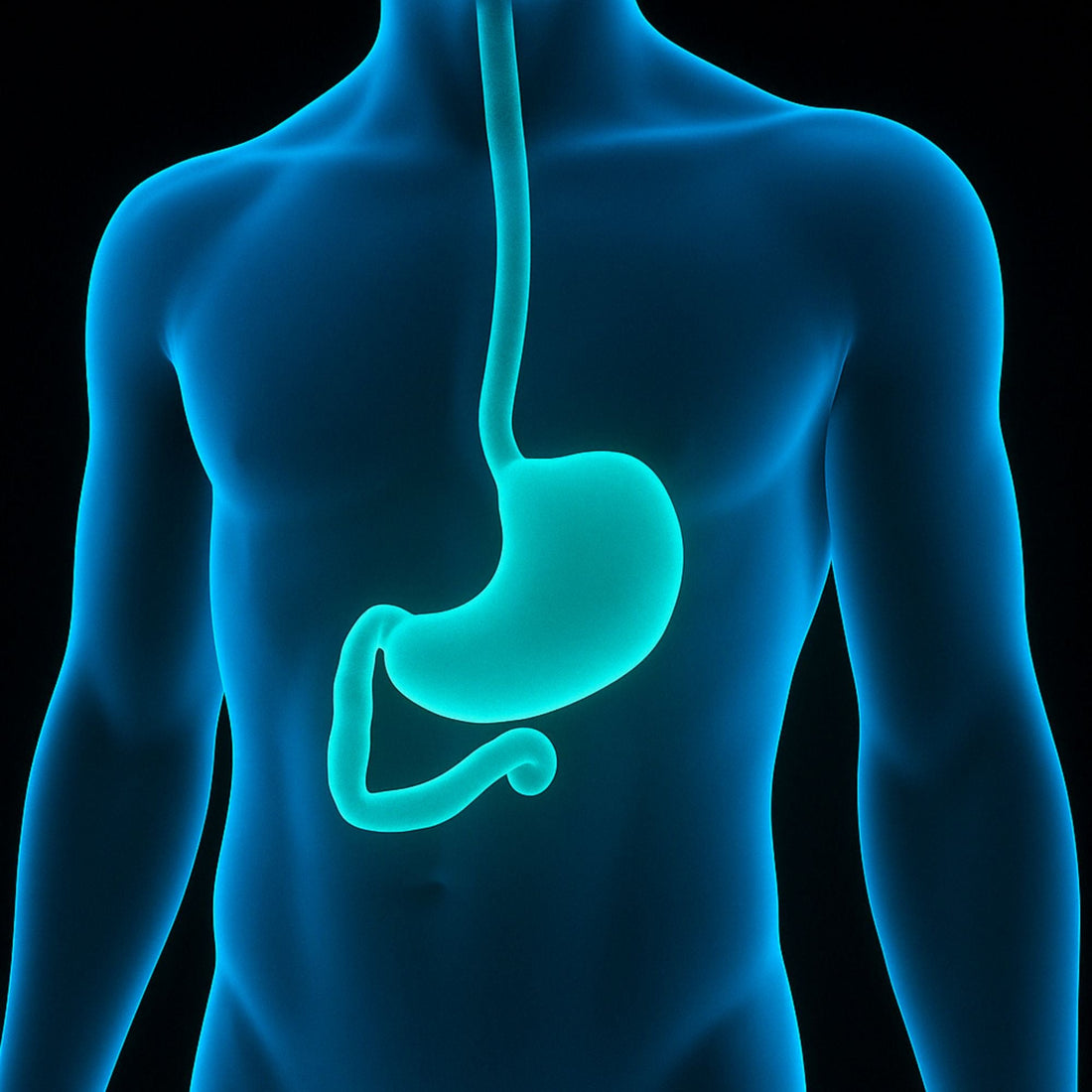 Magensäureblocker (Protonenpumpenhemmen) und SIBO: Erhöht langfristige Einnahme das Risiko einer Dünndarmfehlbesiedlung ?