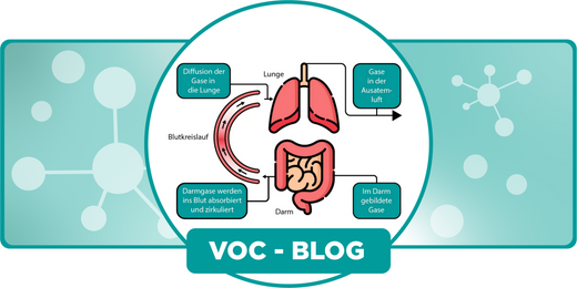 Prinzipien der Atemanalytik