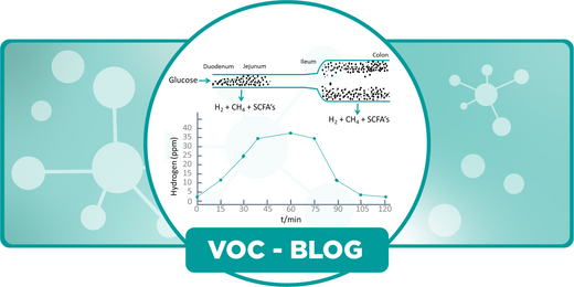 Was passiert bei SIBO? Symptome und Ursachen erklärt