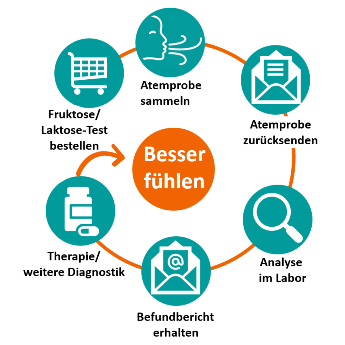 Fruktose und Laktose Test