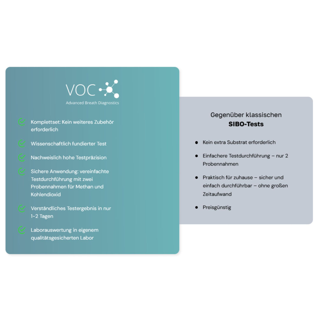 VOC-IMO-Test